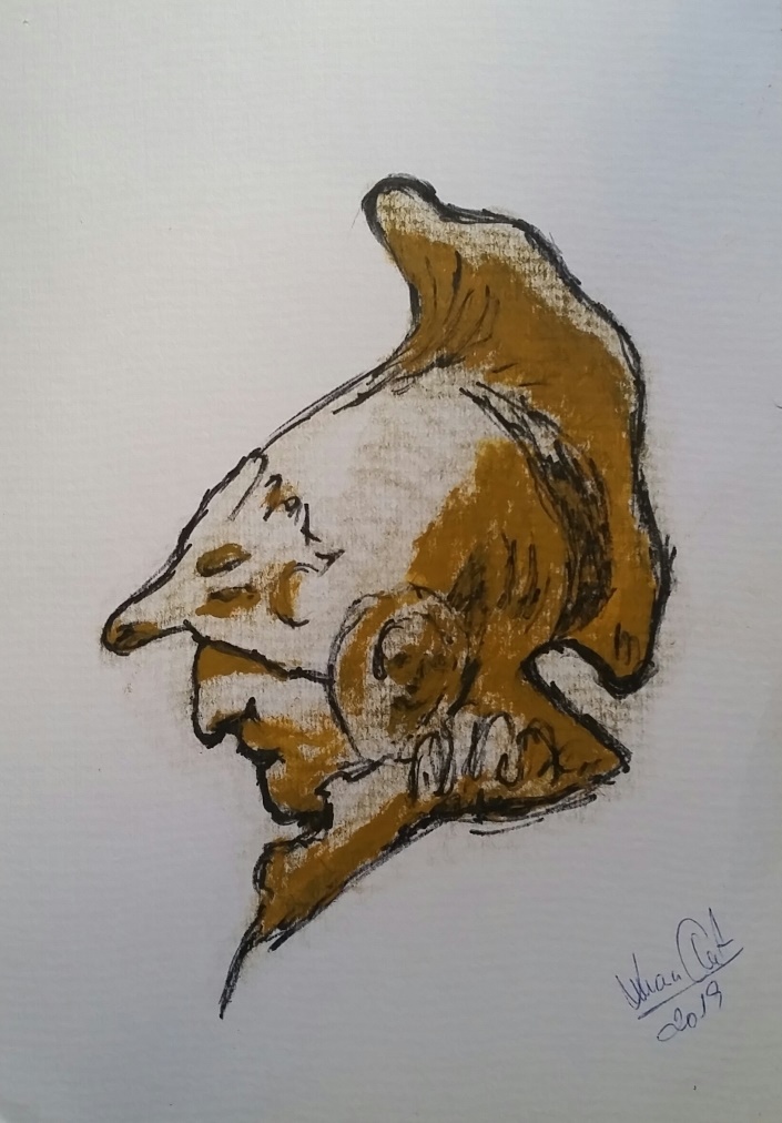 Juan+A.+Fernandez+Gomez-1961 (04).jpg